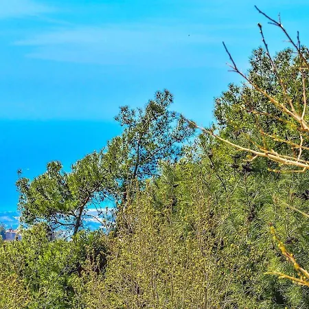 빌라 2 Bedroom Private Pool Secluded In Islamlar